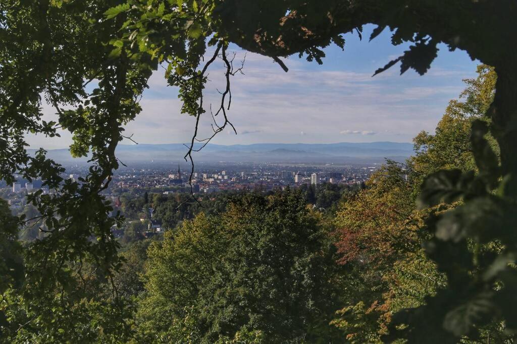 Appartement Wohnen Im Gruenen à Graz Extérieur photo